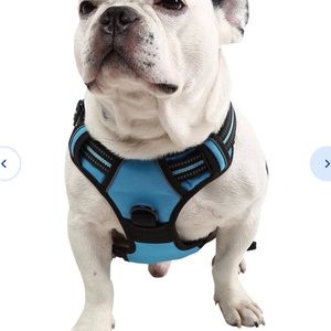 EliteField Padded Reflective No Pull Dog Harness size small.